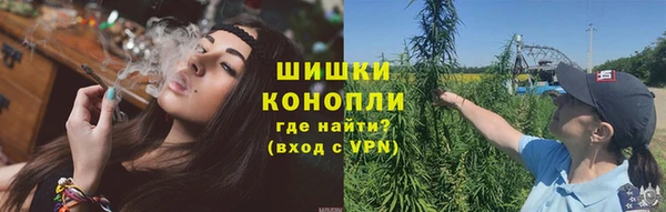 ПСИЛОЦИБИНОВЫЕ ГРИБЫ Аркадак