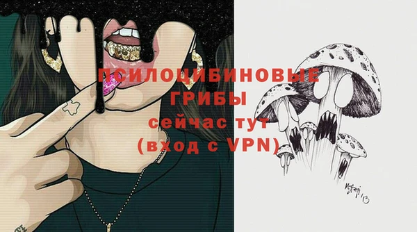 мескалин Арсеньев